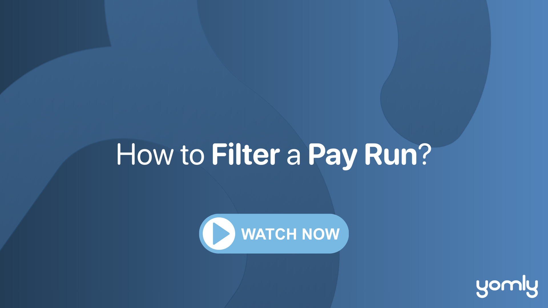 How to Filter a Pay Run.png